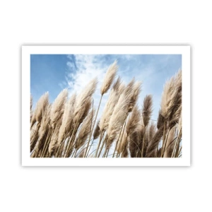 Poster - Zonnige en winderige streling - 70x50 cm