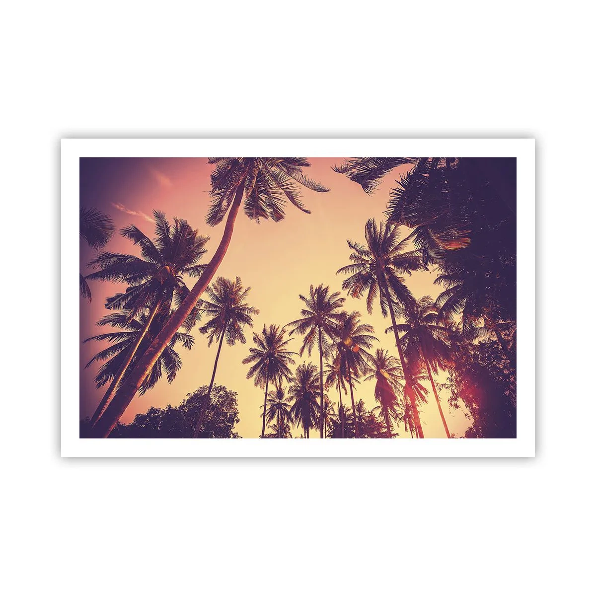 Poster - Een tropische variant - 91x61 cm