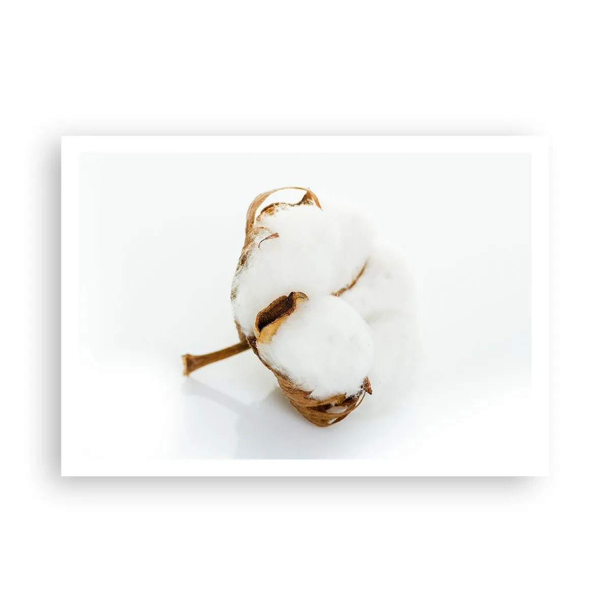 Poster - Zacht van aard - 100x70 cm