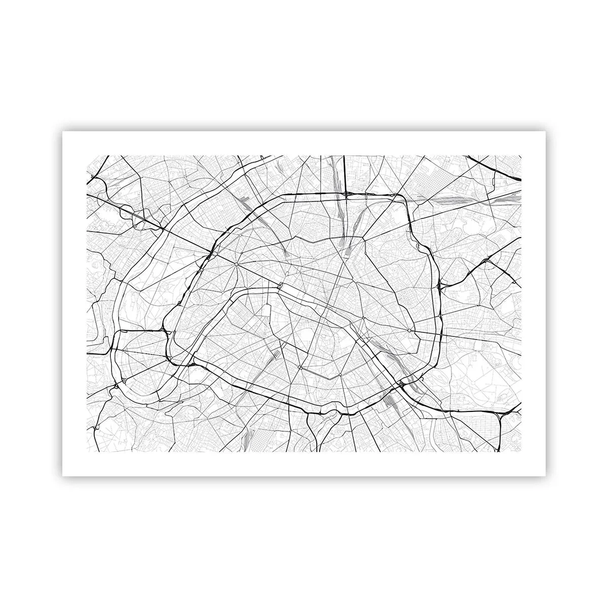 Poster - Parijs bloem - 70x50 cm