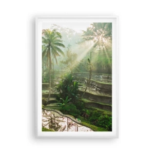 Poster in een witte lijst - Opgroeien in de zon - 61x91 cm