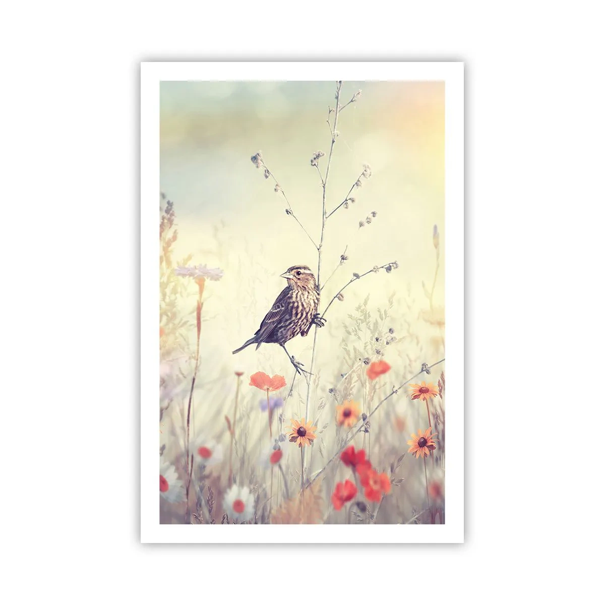 Poster - Vogelportret met een weiland op de achtergrond - 61x91 cm