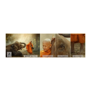 Fotobehang Monster Premium Sand - Ontmoeting tijdens een reis - Azië, Olifant, Monnik - 100x30 cm