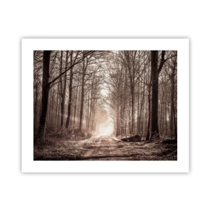 Poster - Boskathedraal - 50x40 cm