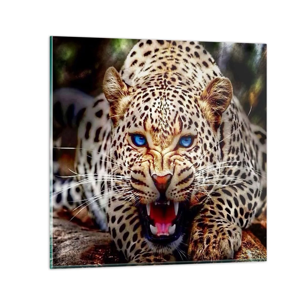 Schilderen op glas - Boosheid schaadt de schoonheid niet - 40x40 cm