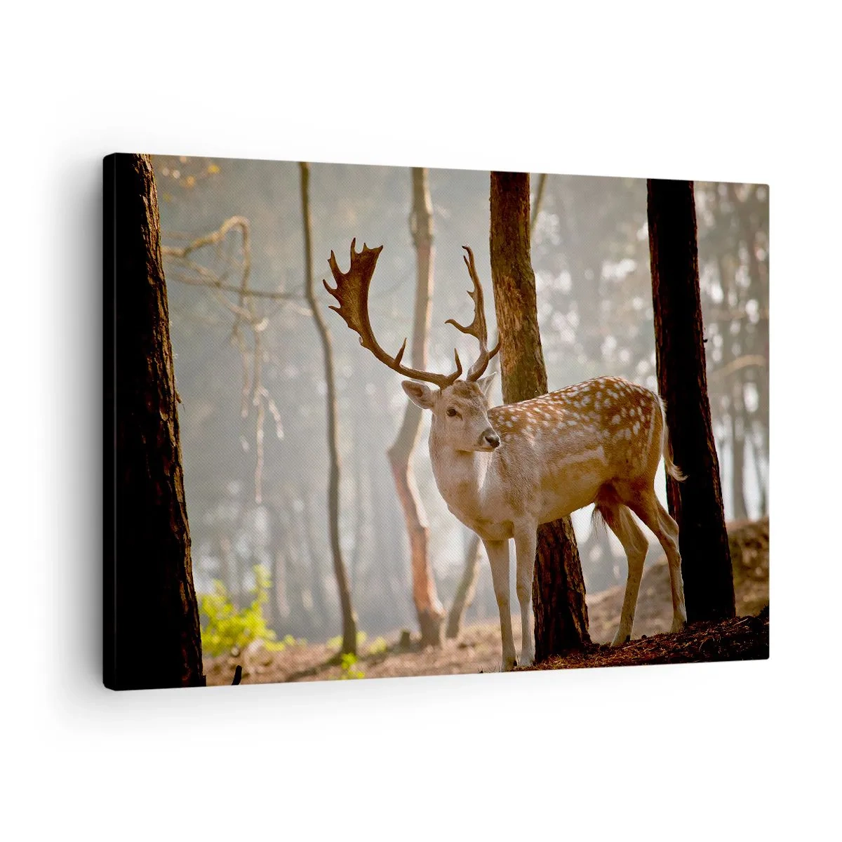 Schilderen op canvas - Herten in het bos in de ochtendmist - 70x50cm - Het licht van de jeugd - Moderne wanddecoratie voor woonkamer en slaapkamer ARTTOR