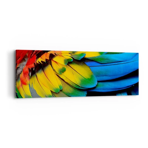 Schilderen op canvas - Paradijsvogel - 90x30 cm