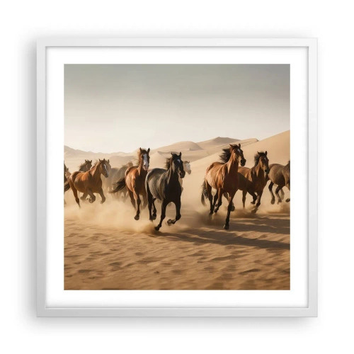 Poster in een witte lijst - Vrij als de wind - 50x50 cm