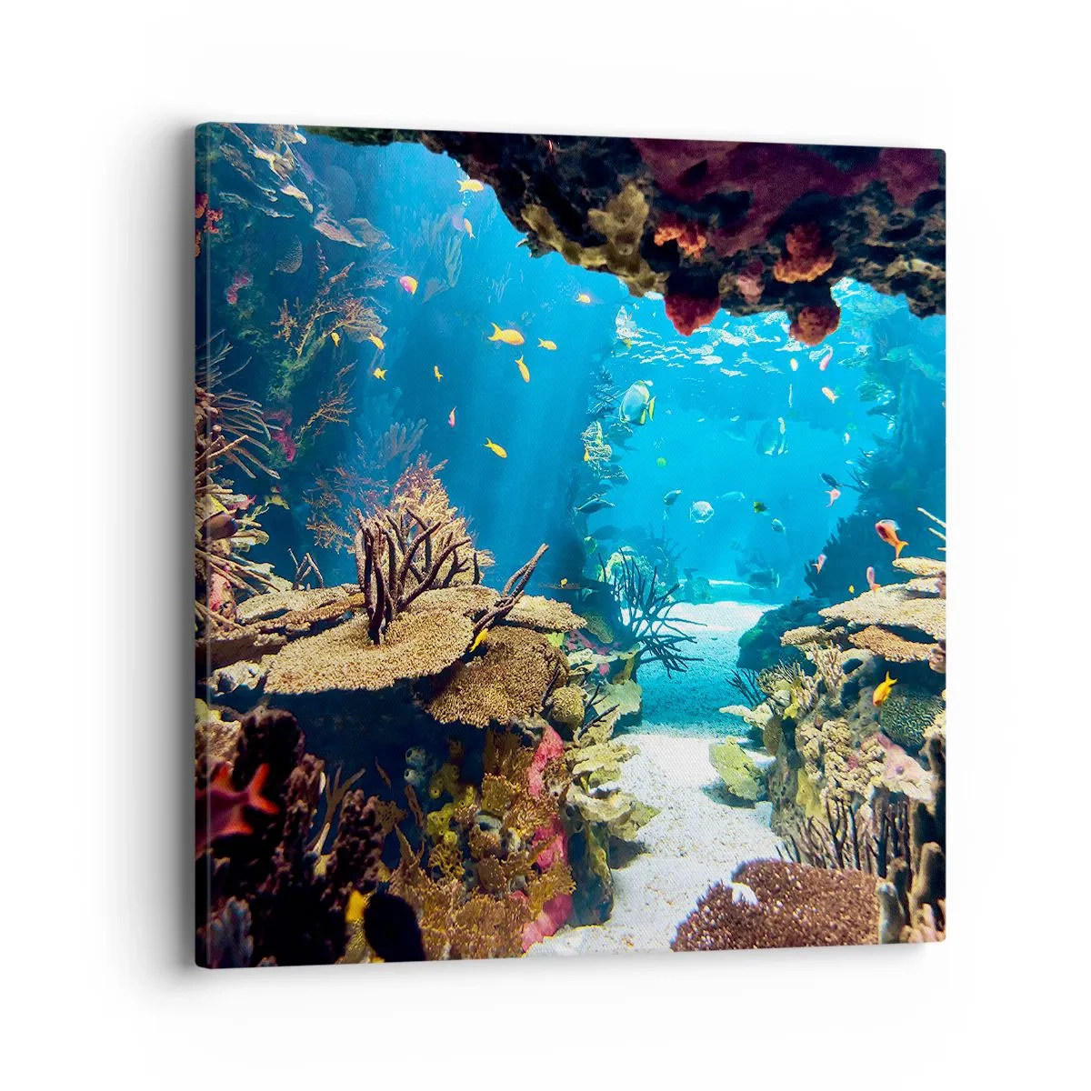 Schilderen op canvas - Je hebt het niet eens gedroomd - 40x40 cm