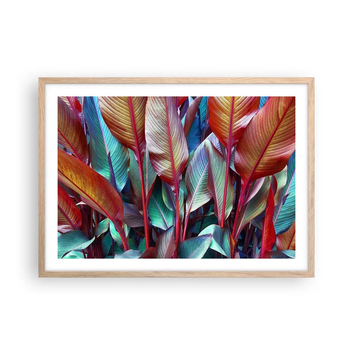 Een poster in een licht eiken lijst - Een kleurrijk struikgewas - 70x50 cm