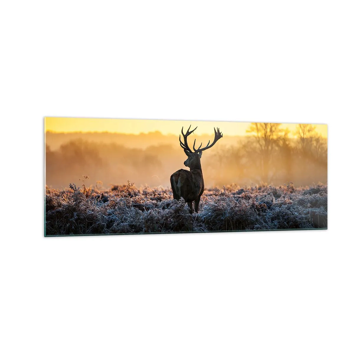 Schilderen op glas - Gekroond op zijn landgoed - 140x50 cm