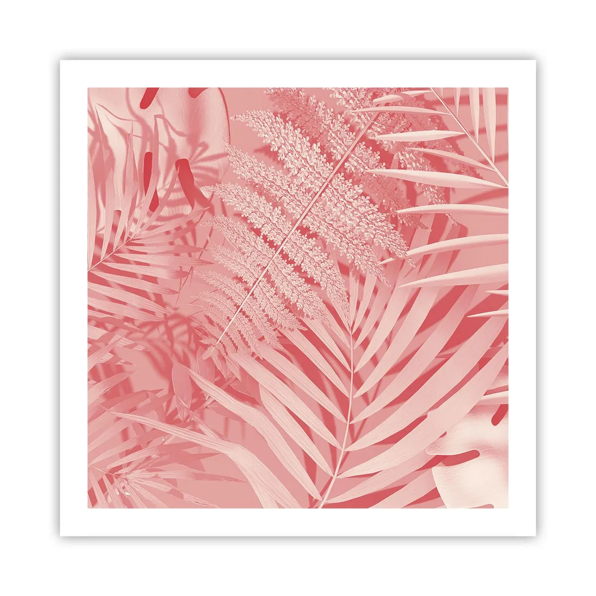Poster - Roze concept - 60x60 cm