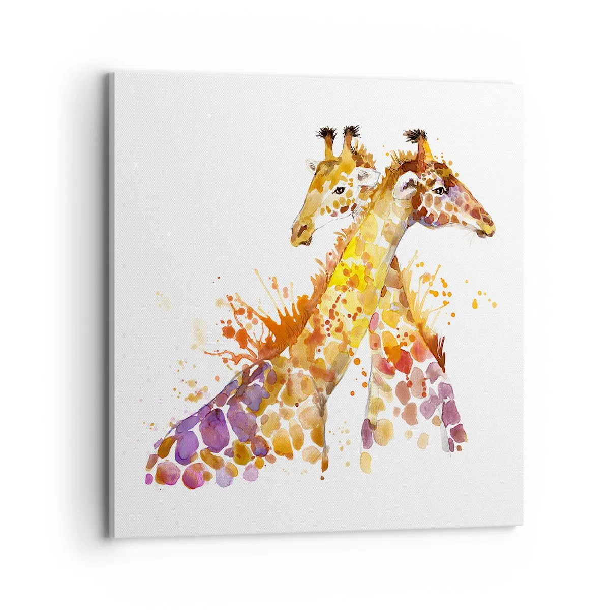 Schilderen op canvas - Is het vriendschap of is het een baby? - 70x70 cm