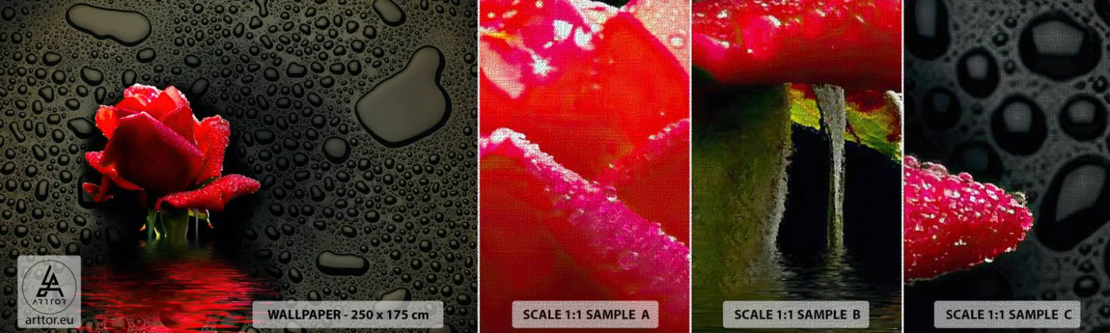 Fotobehang Monster Premium Canvas - Rood en zwart - Bloemen, Roos, Water - 100x30 cm