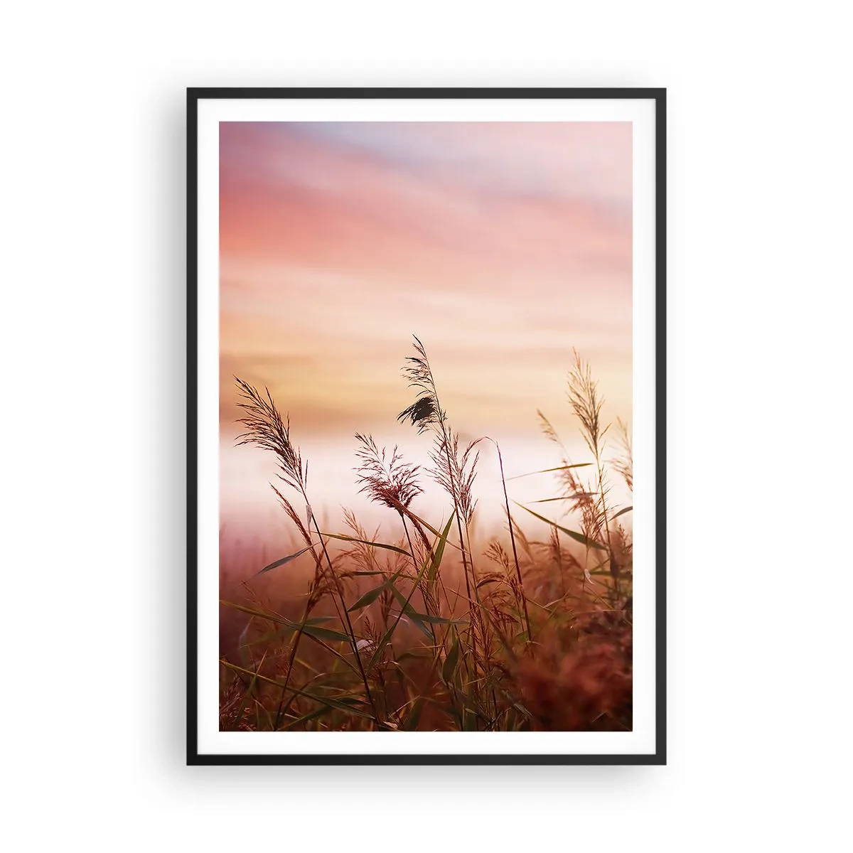 Poster in een zwarte lijst - Vliegers, paardebloemen, wind - 70x100 cm