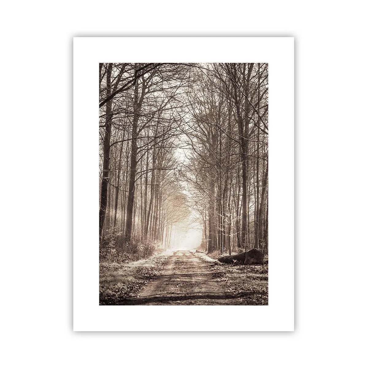 Poster - Boskathedraal - 30x40 cm