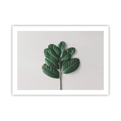 Poster - Een tekening van de pure natuur - 70x50 cm