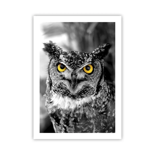 Poster - Niets zal zich verbergen - 50x70 cm