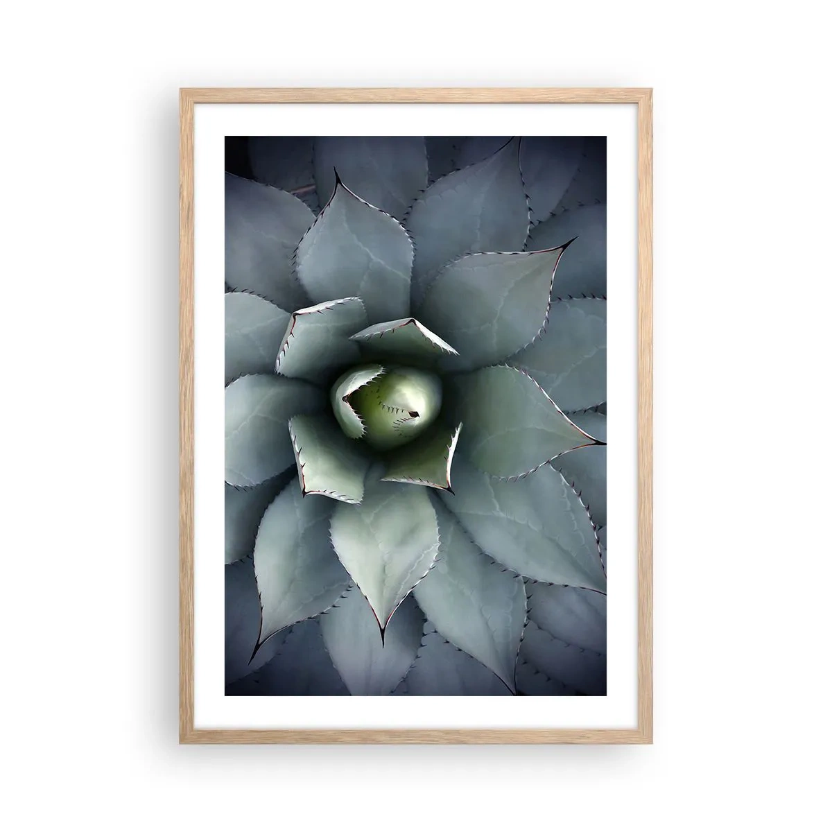 Een poster in een licht eiken lijst - Het trekt aan en waarschuwt - 50x70 cm