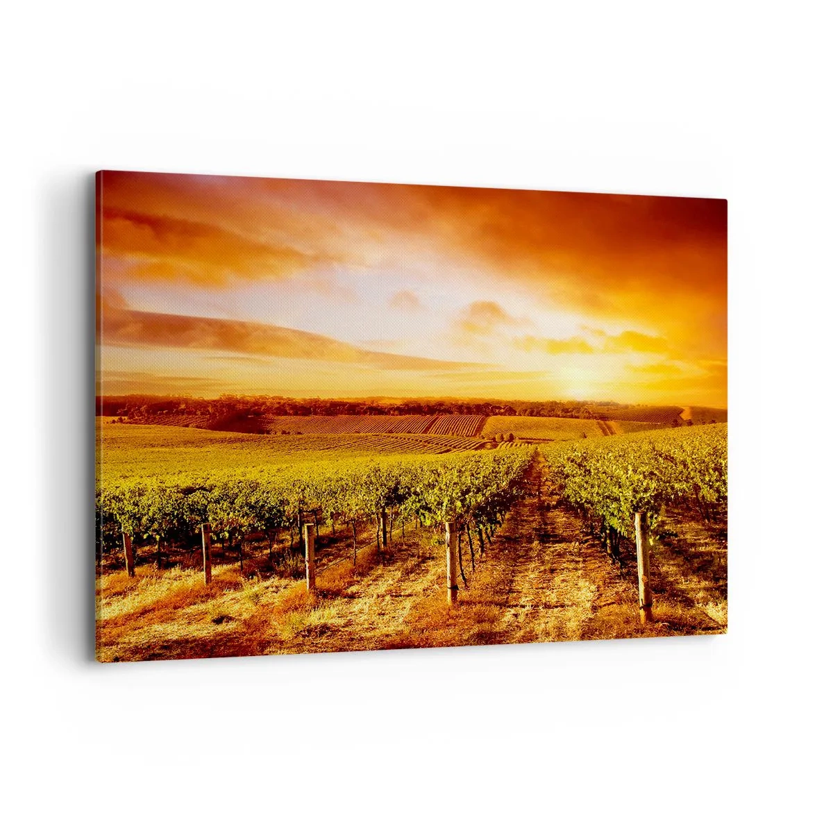 Schilderen op canvas - Licht fruitig met een vleugje zonneschijn - 120x80 cm