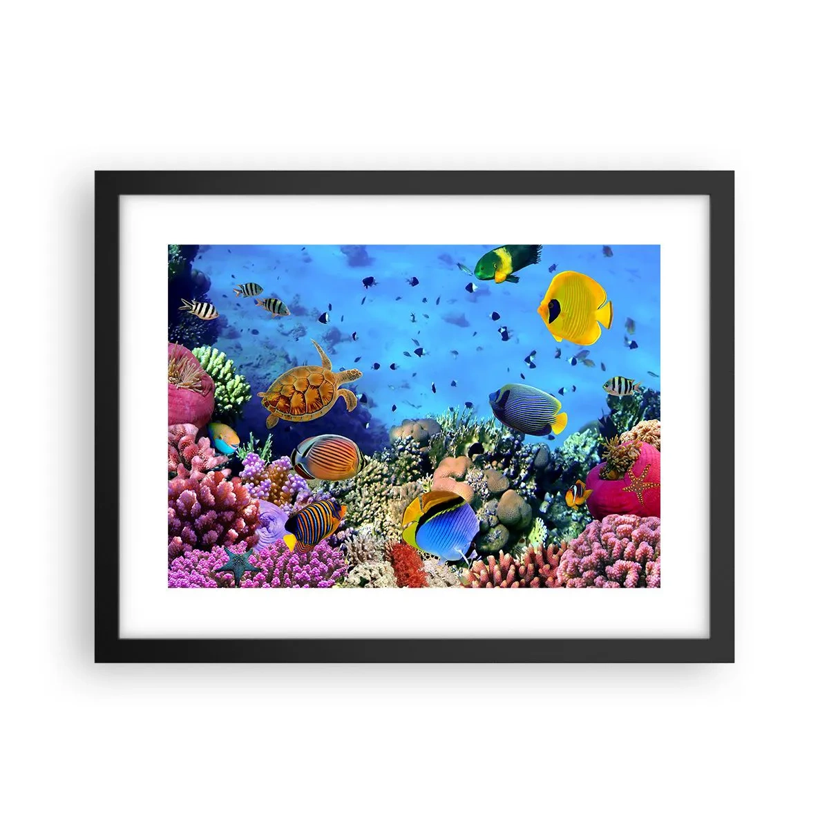 Poster in een zwarte lijst - En wat weten we over het leven... - 40x30 cm