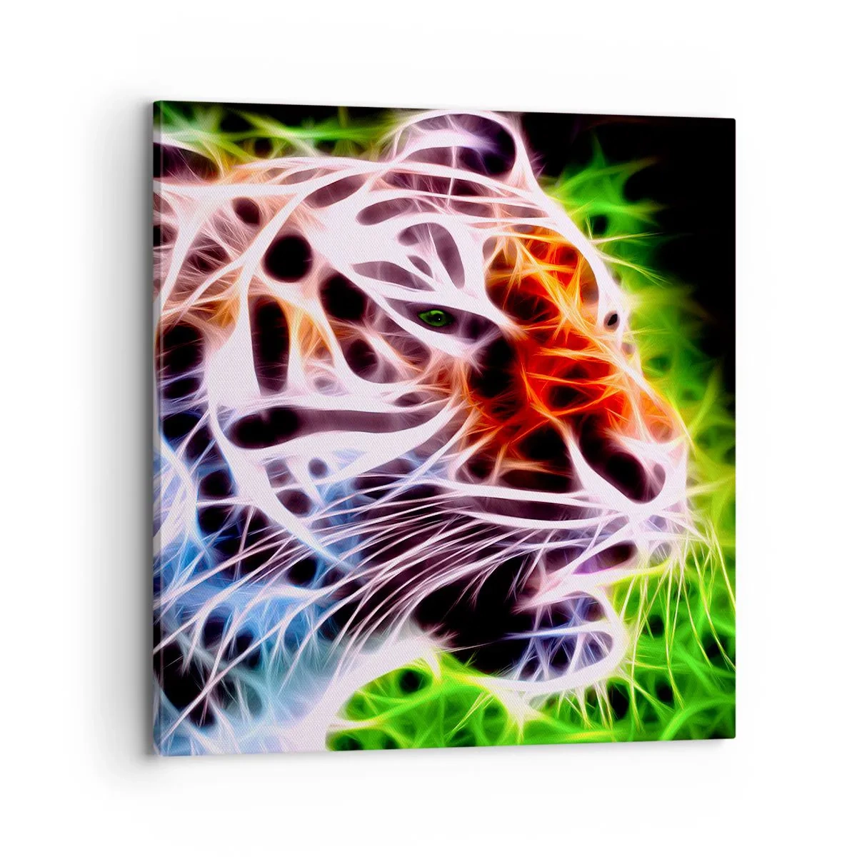 Schilderen op canvas - Vreselijke uitstraling - 70x70 cm