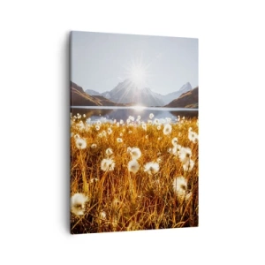 Schilderen op canvas - Steenhardheid, graszachtheid - 50x70 cm