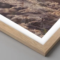 Licht eiken