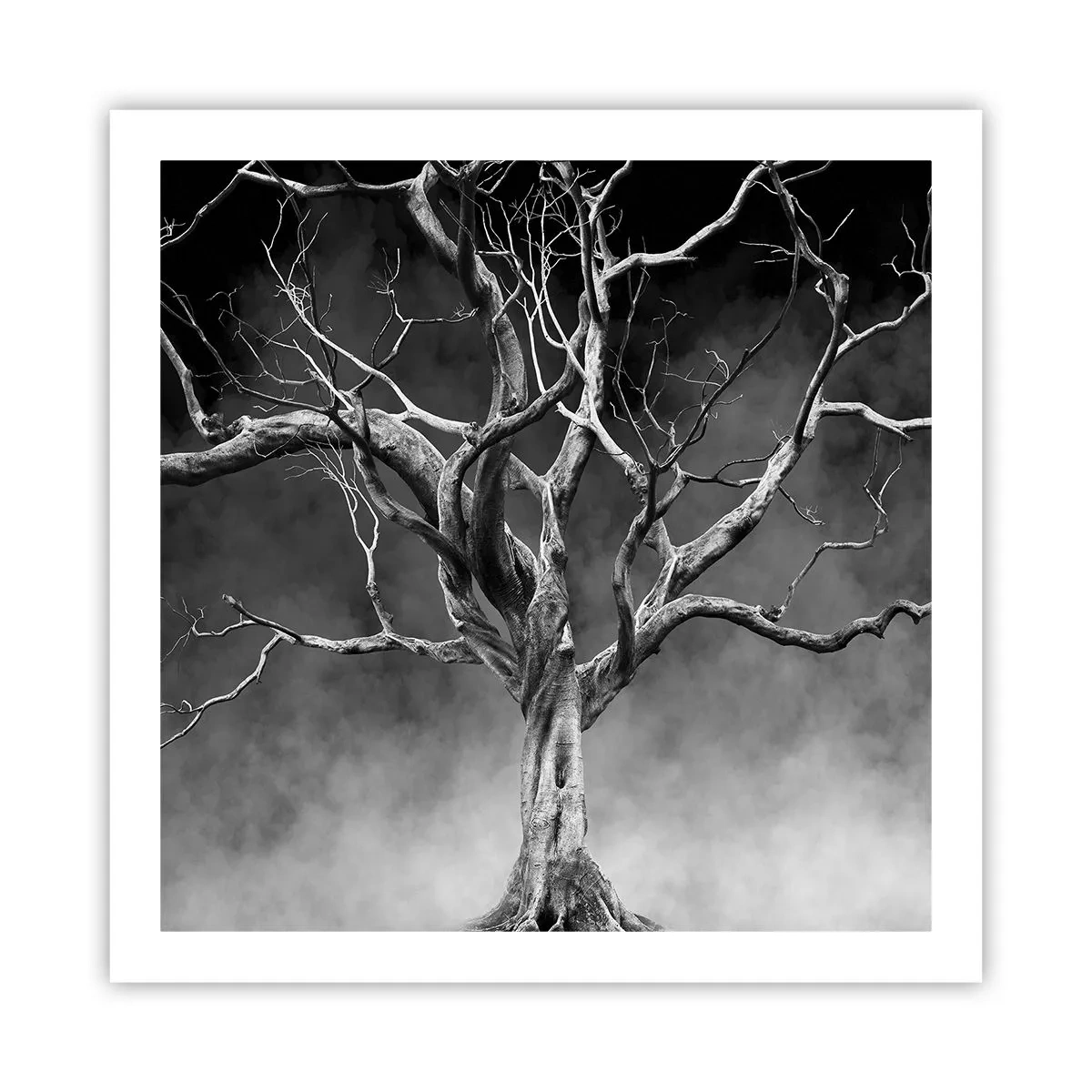 Poster - Oorspronkelijk en heilig - 60x60 cm