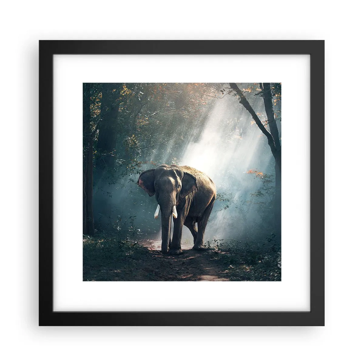 Poster in een zwarte lijst - Een ontspannen wandeling - 30x30 cm