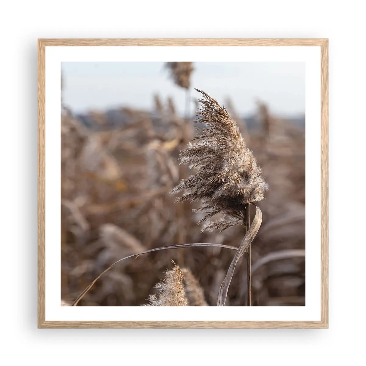 Een poster in een licht eiken lijst - Tijd om met de wind mee te gaan - 60x60 cm