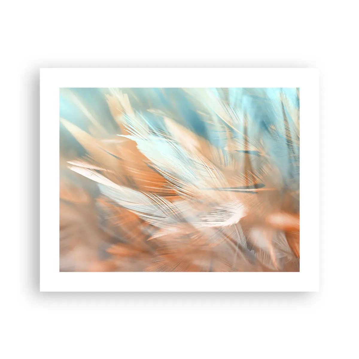 Poster - In het land van zachtheid - 50x40 cm