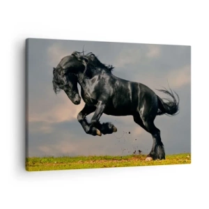 Schilderen op canvas - Een dark horse in een dynamische sprong tegen de lucht - 70x50cm - Mooi en vrij - Moderne wanddecoratie voor woonkamer en slaapkamer ARTTOR