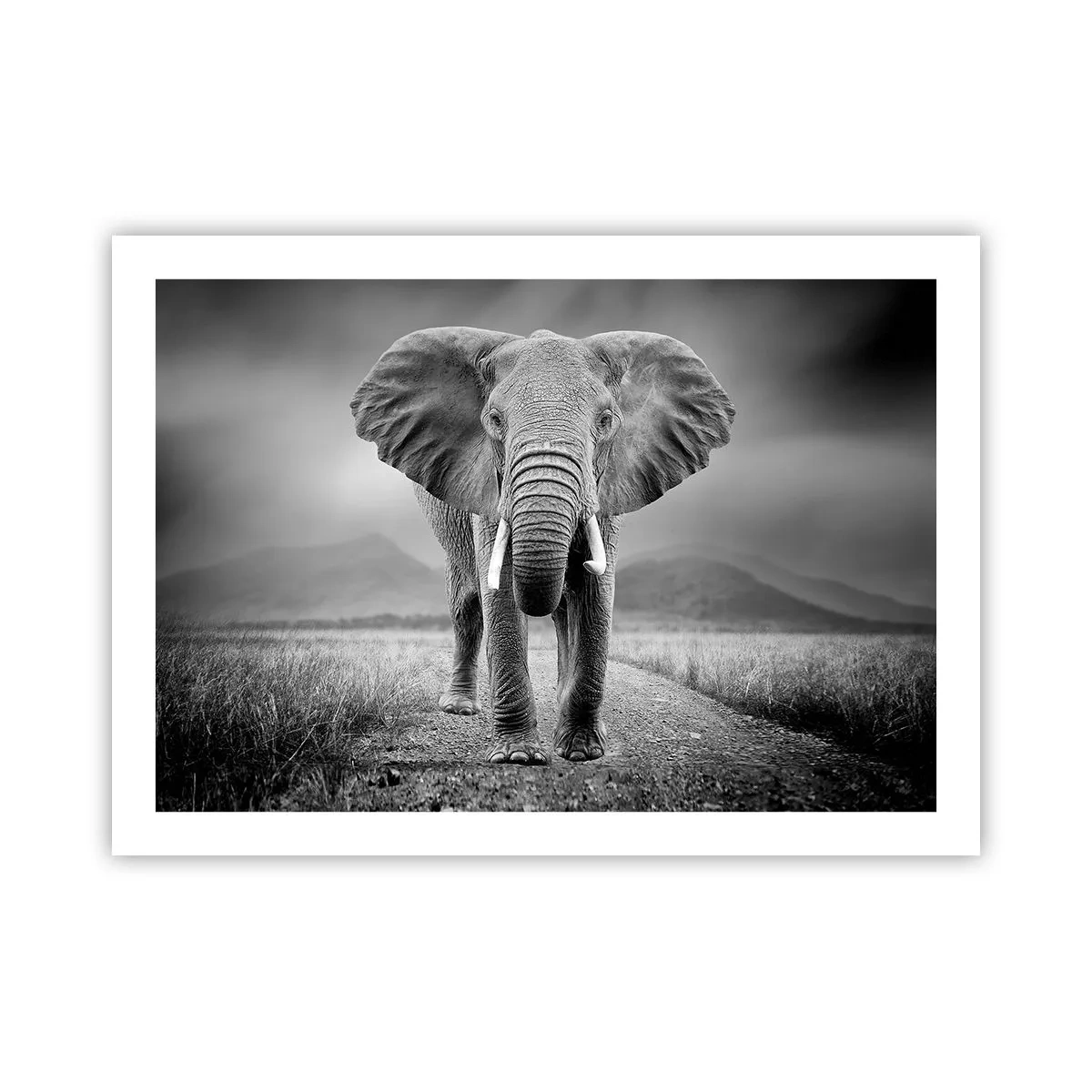 Poster - De gastheer heet je welkom - 70x50 cm