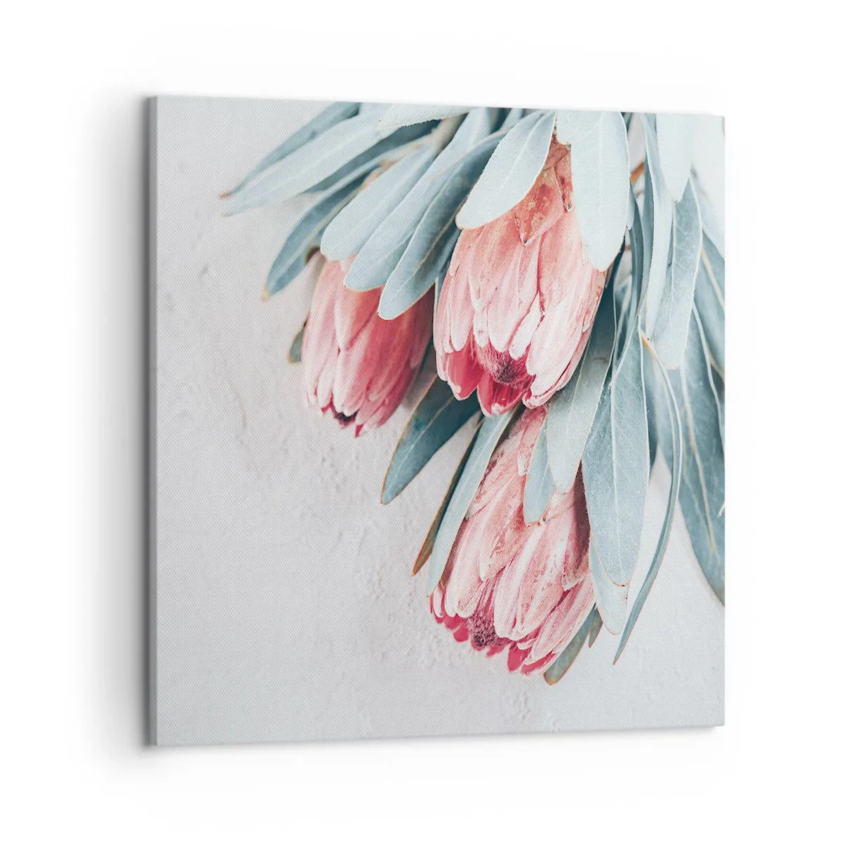 Schilderen op canvas - Schaamt zich voor hun eigen schoonheid - 50x50 cm