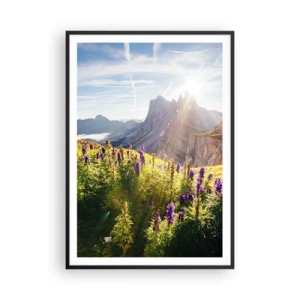 Poster in een zwarte lijst - Het geheime leven van kruiden - 70x100 cm