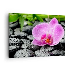 Schilderen op canvas - Roze orchidee op natte zwarte stenen met groene bladeren - 70x50cm - Als een open hart - Moderne wanddecoratie voor woonkamer en slaapkamer ARTTOR