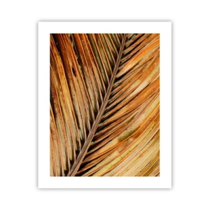 Poster - Kokos goud - 40x50 cm
