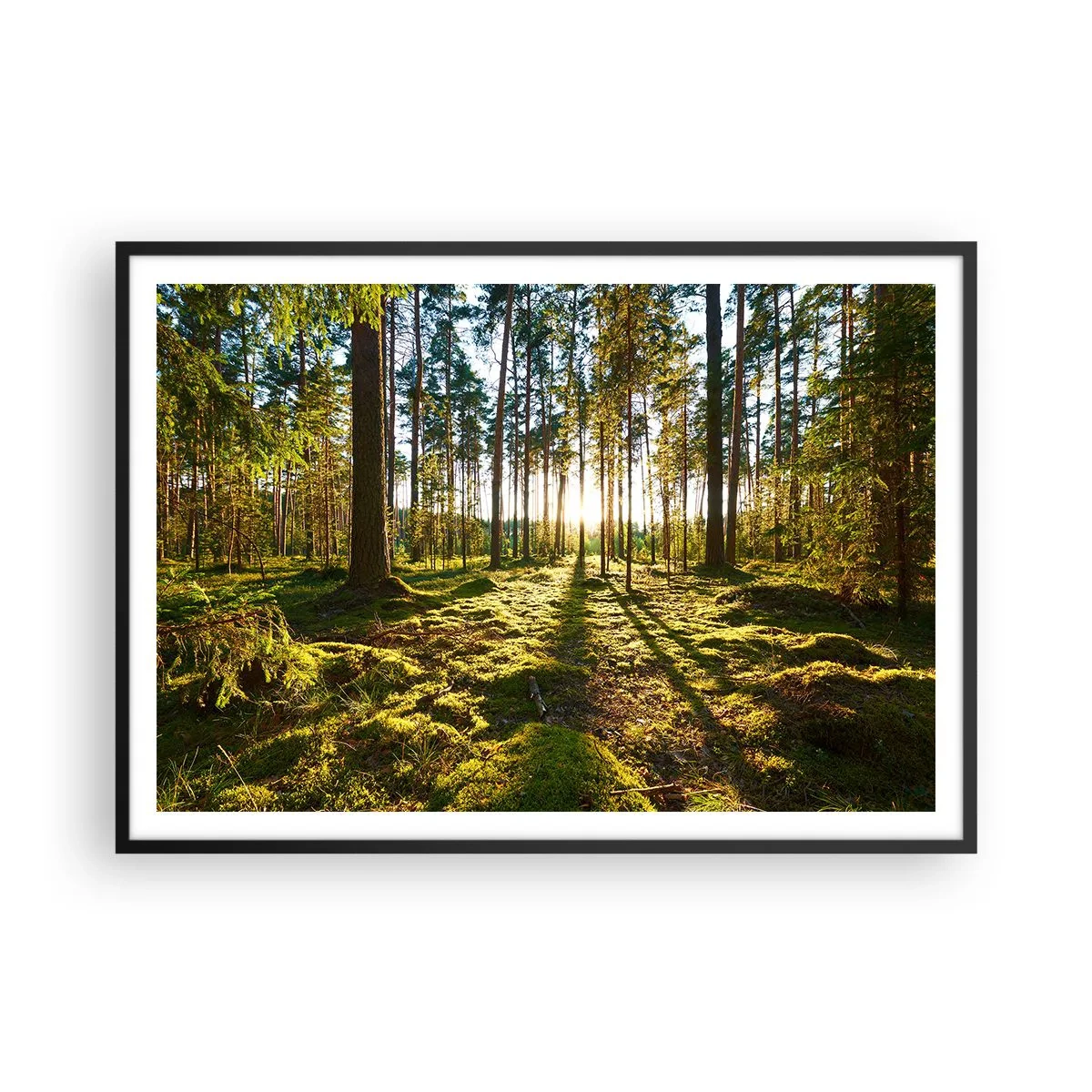 Poster in een zwarte lijst - … Achter de zeven bossen - 100x70 cm