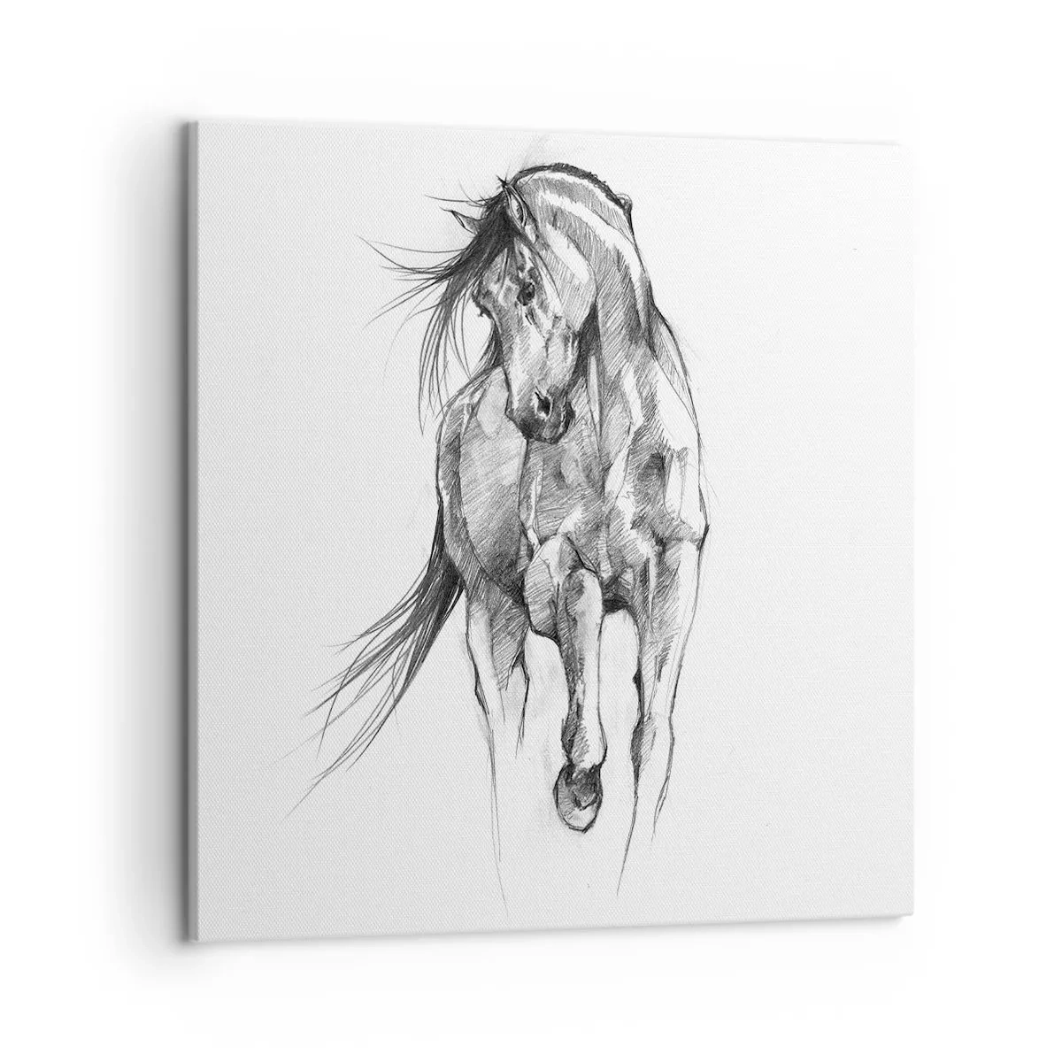 Schilderen op canvas - In een sierlijke draf - 50x50 cm