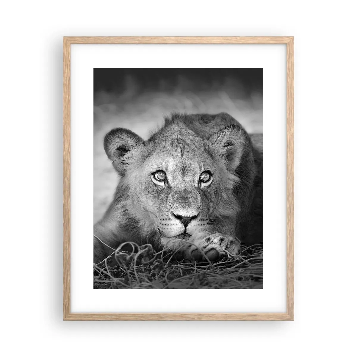 Een poster in een licht eiken lijst - Koninklijke puppy - 40x50 cm