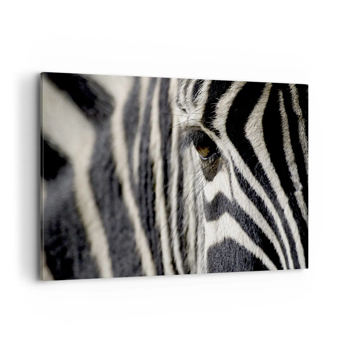 Schilderen op canvas - Gestreept portret - 120x80 cm