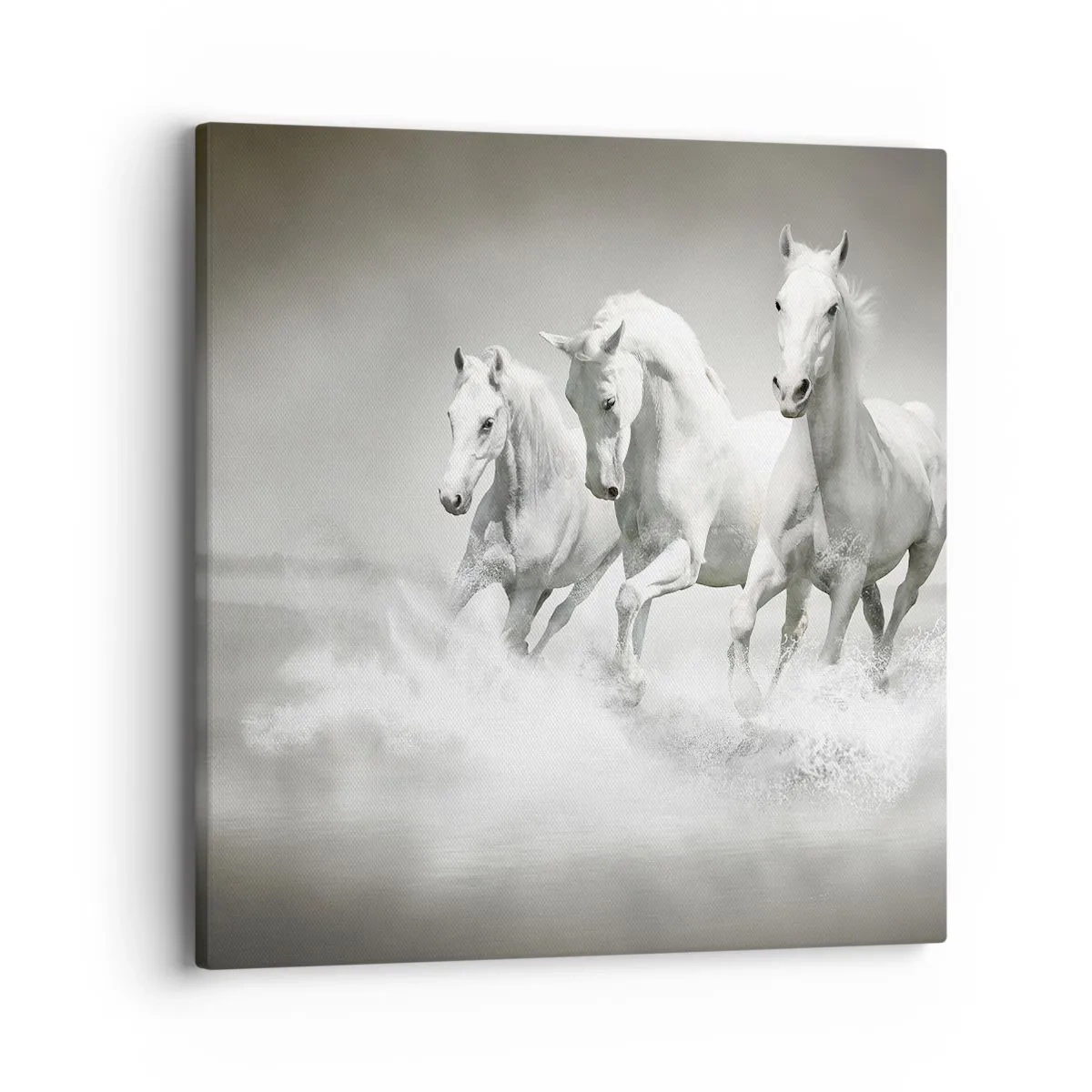 Schilderen op canvas - Witte waanzin - 40x40 cm