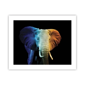 Poster - Excentriek, niet raar - 50x40 cm