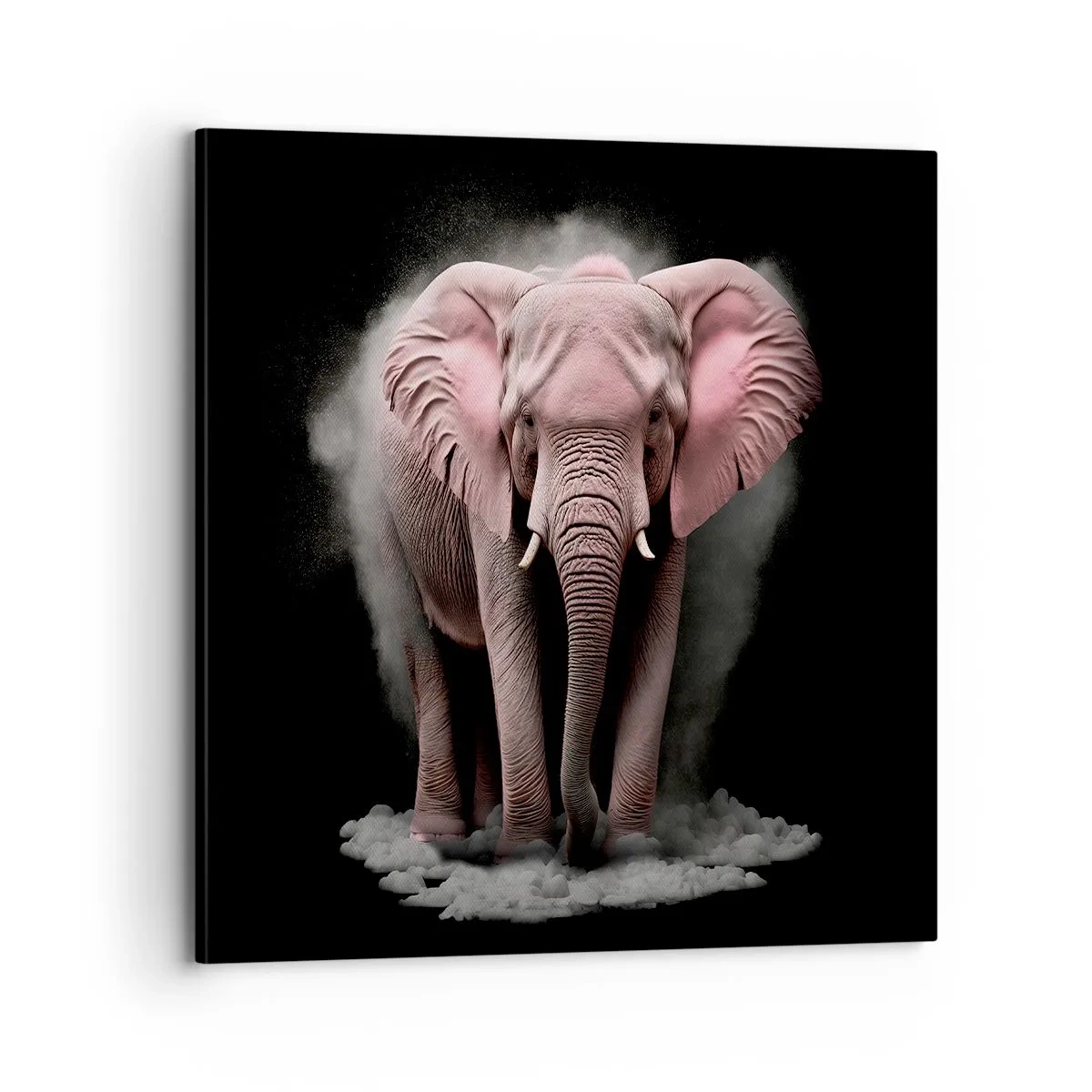 Schilderen op canvas - Denk niet aan een roze olifant! - 70x70 cm