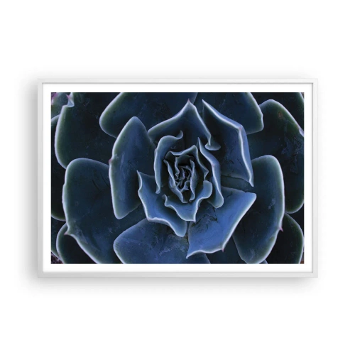 Poster in een witte lijst - Woestijn bloem - 100x70 cm