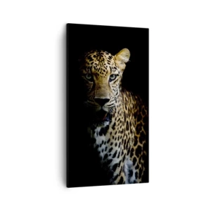 Schilderen op canvas - Donkere schoonheid - 45x80 cm