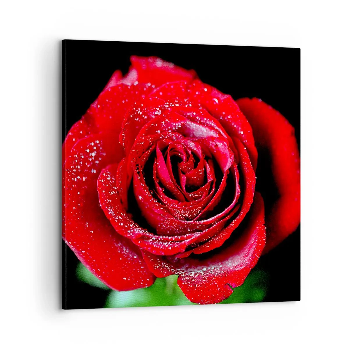 Schilderen op canvas - Dit is liefde - 60x60 cm