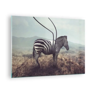 Schilderen op glas - Zebra op grasachtergrond met surrealistisch antennedetail - 70x50cm - Aandacht! Gebrek - Moderne wanddecoratie voor woonkamer en slaapkamer ARTTOR