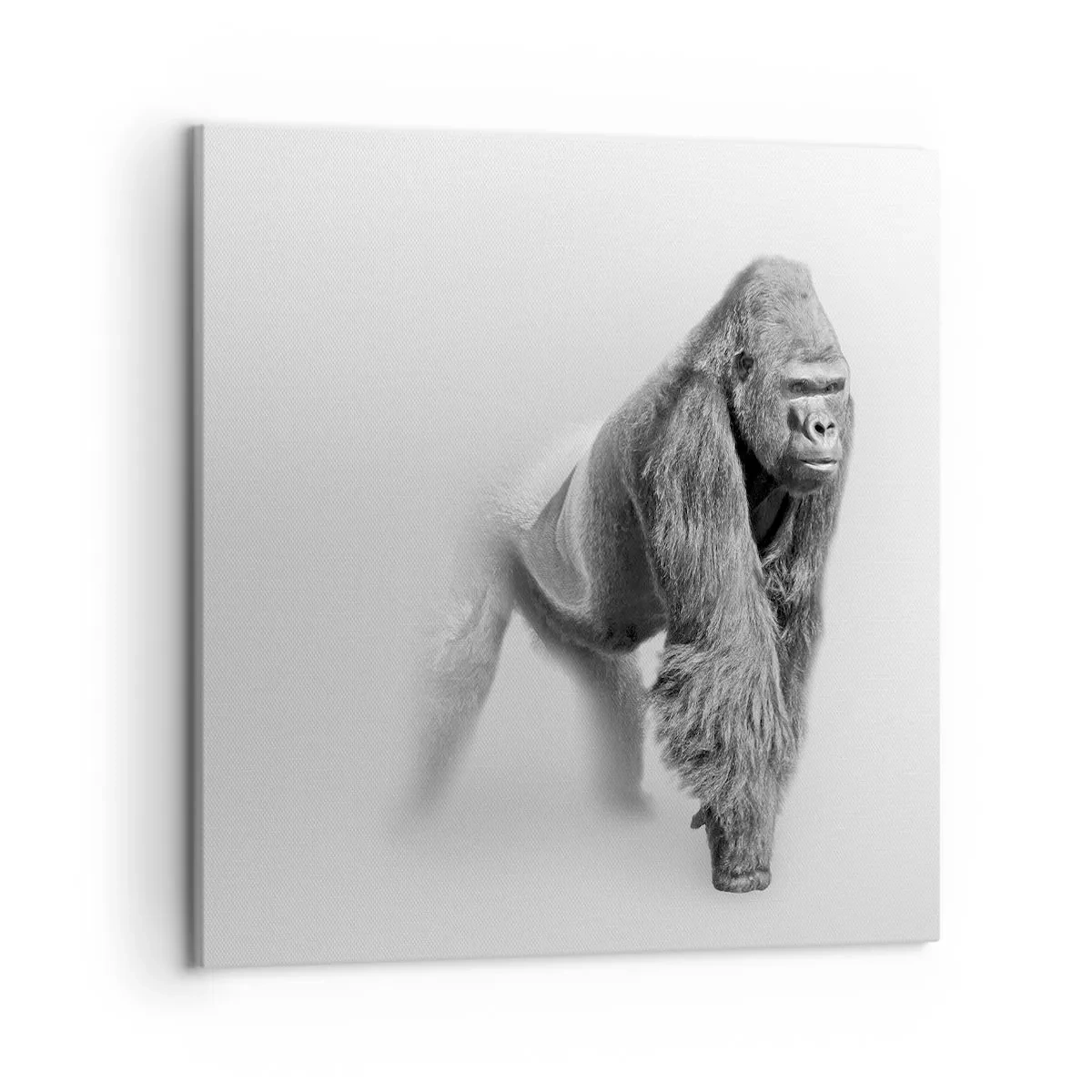 Schilderen op canvas - Vertrouwen in zijn kracht - 50x50 cm